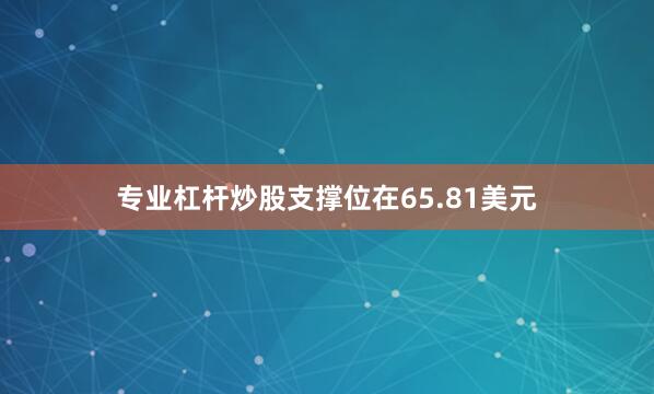 专业杠杆炒股支撑位在65.81美元